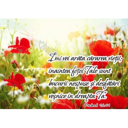 Felicitare Îmi vei arăta cărarea vieţii